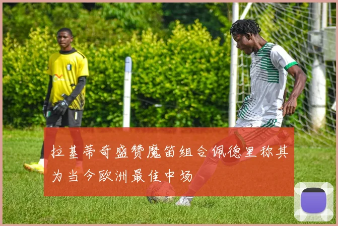 拉基蒂奇盛赞魔笛组合佩德里称其为当今欧洲最佳中场