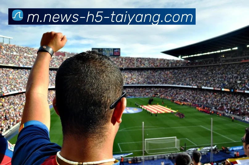 太阳城平台生态图